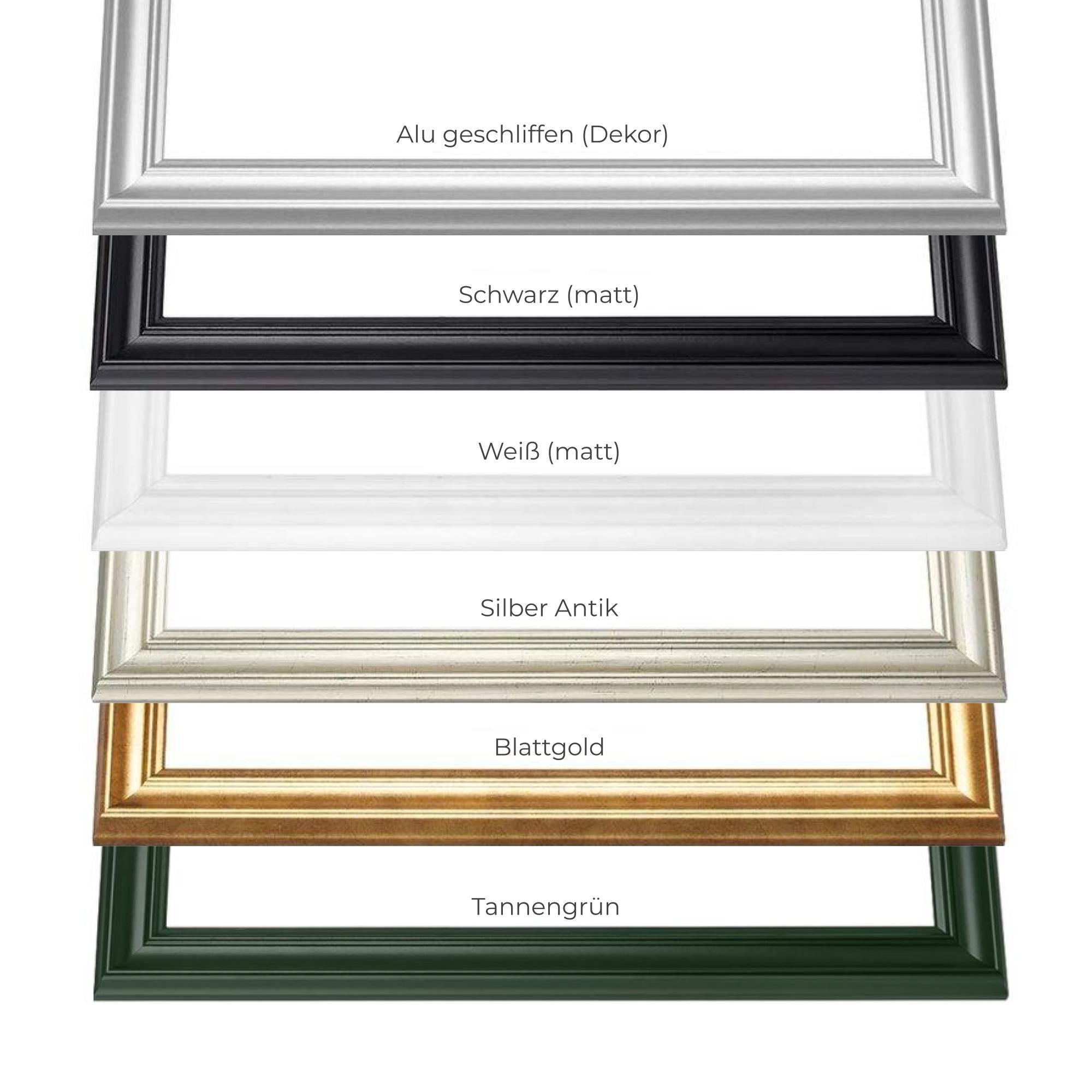 Der Barockrahmen ist in fünf verschiedenen Farben verfügbar: Schwarz matt, Weiß matt, Silber Antik, Blattgold, Alu geschliffen Dekor, Tannengrn