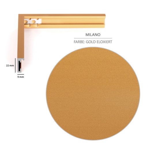 Querschnitt des Milano-Bilderrahmens in gold eloxiertem Aluminium, Breite 9 mm, Höhe 22 mm.