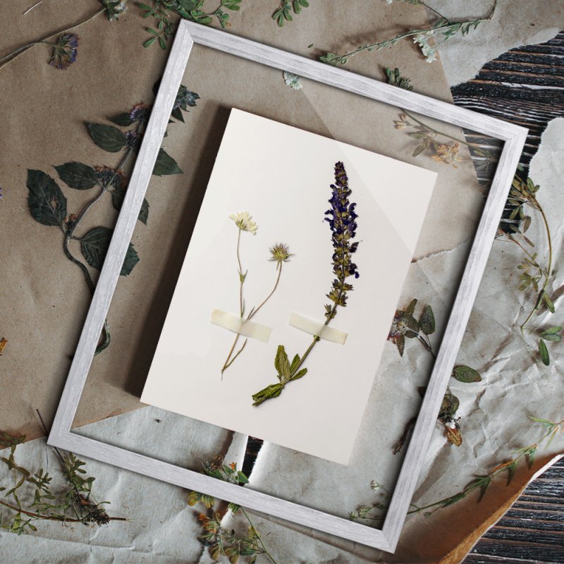 Doppelglasrahmen CLARA Fichte Mattsilber