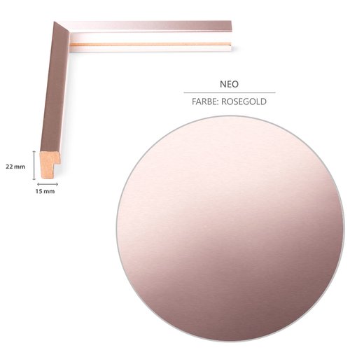 DIN-Rahmen NEO Rosegold