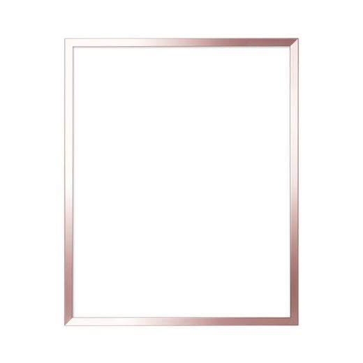 DIN-Rahmen NEO Rosegold