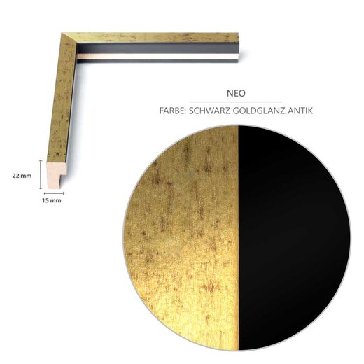 DIN-Rahmen NEO Schwarz Goldglanz Antik