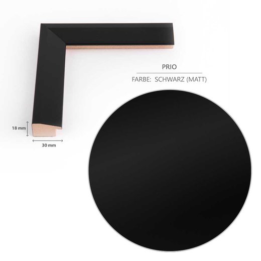 Doppelglasrahmen Prio Schwarz (matt)