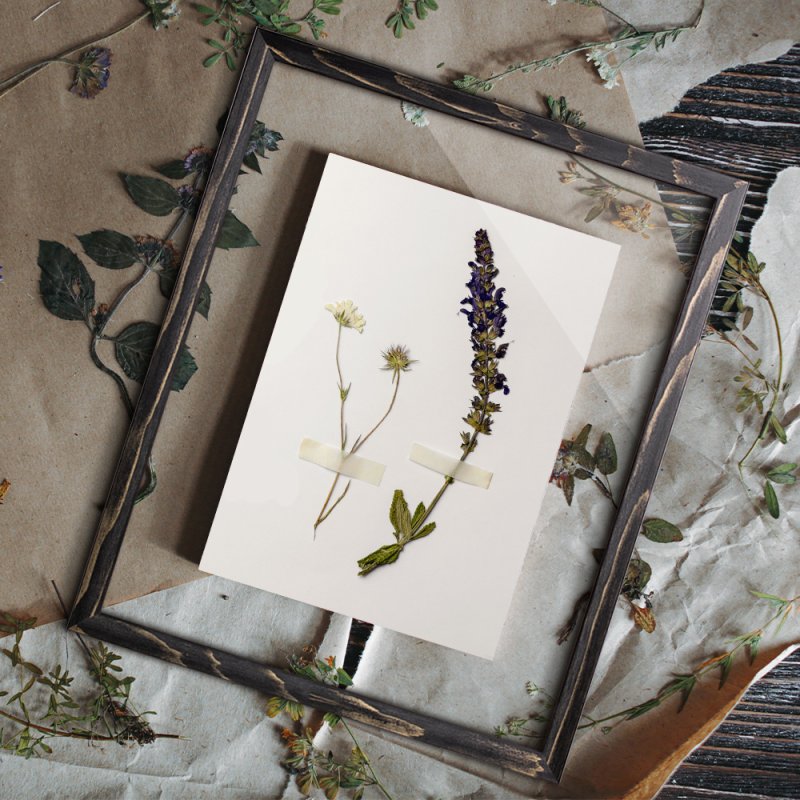 Doppelglasrahmen CLARA Fichte Schwarz gebürstet