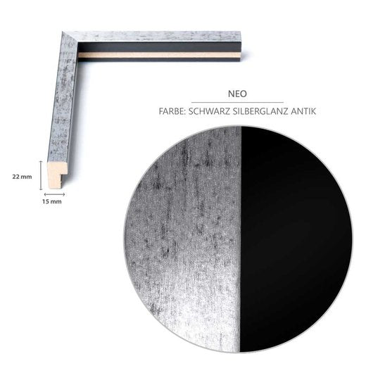 DIN-Rahmen NEO Schwarz Silberglanz Antik