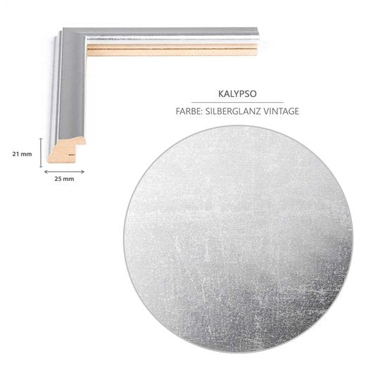 DIN-Rahmen Kalypso Silberglanz Vintage