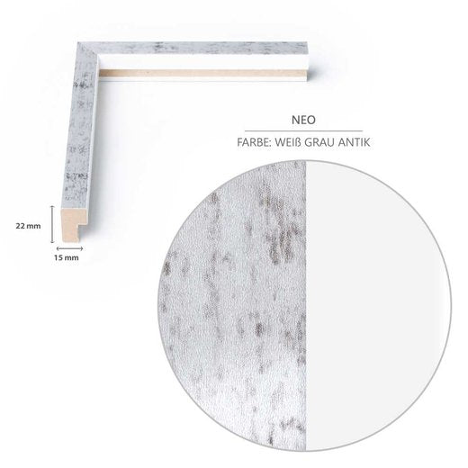 DIN-Rahmen NEO Weiß Grau Antik
