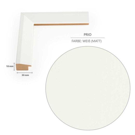 Doppelglasrahmen Prio Weiß (matt)