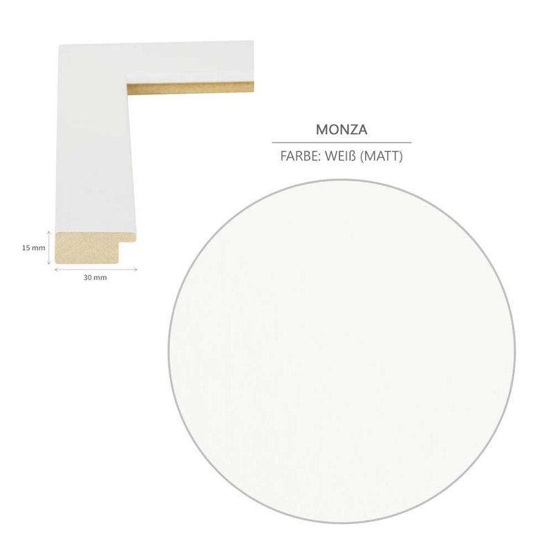 DIN-Rahmen MONZA Weiß (matt)