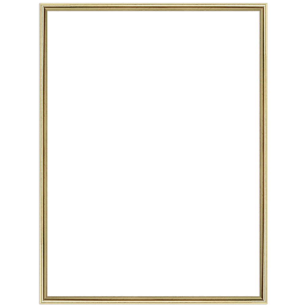 Der Bilderrahmen in Gold in der Gesamtansicht