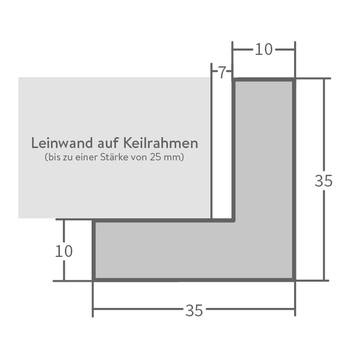 Schattenfugenrahmen HS01 Buche